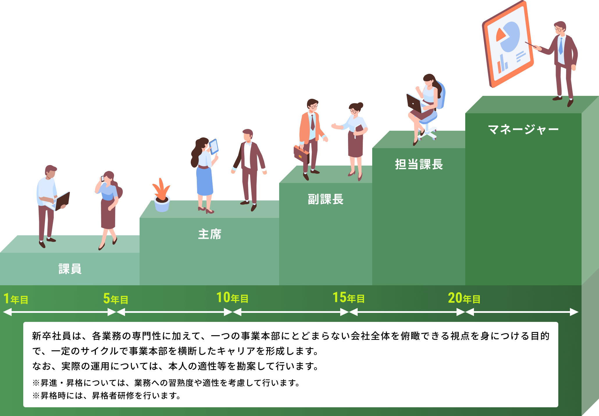 新卒社員は、各業務の専門性に加えて、一つの事業本部にとどまらない会社全体を俯瞰できる視点を身につける目的で、一定のサイクルで事業本部を横断したキャリアを形成します。なお、実際の運用については、本人の適性等を勘案して行います。※昇進・昇格については、業務への習熟度や適性を考慮して行います。※昇格時には、昇格者研修を行います。