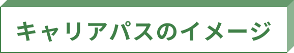 キャリアパスのイメージ