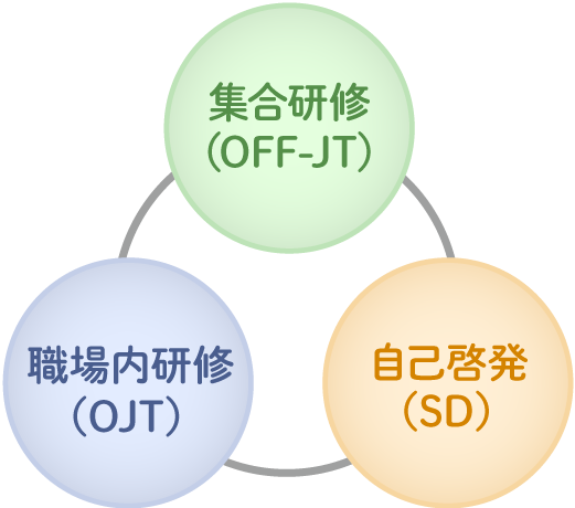 集合研修（OFF-JT）　職場内研修（OJT）　自己啓発（SJ）